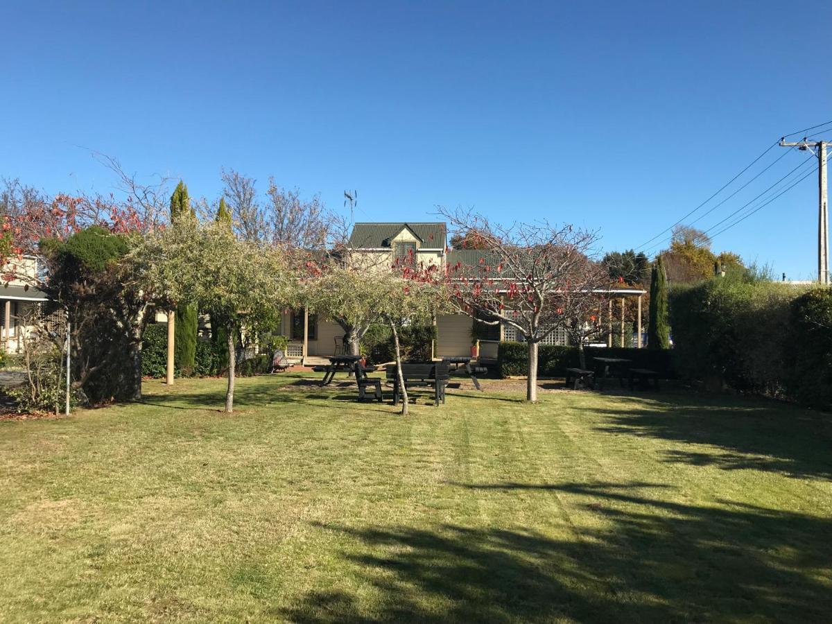 Pinot Villas Martinborough Kültér fotó